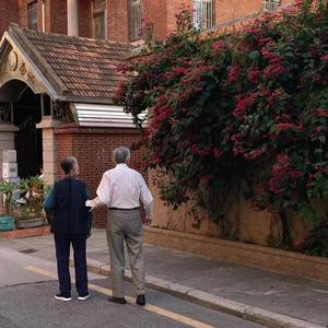 B影院全球最大库存最新消息
