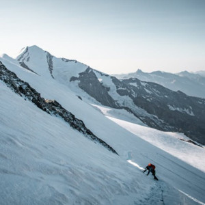 B影院全球最大库存最新消息
