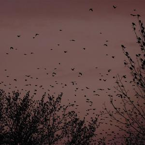 B影院全球最大库存最新消息
