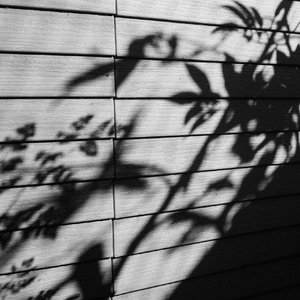 B影院全球最大库存最新消息
